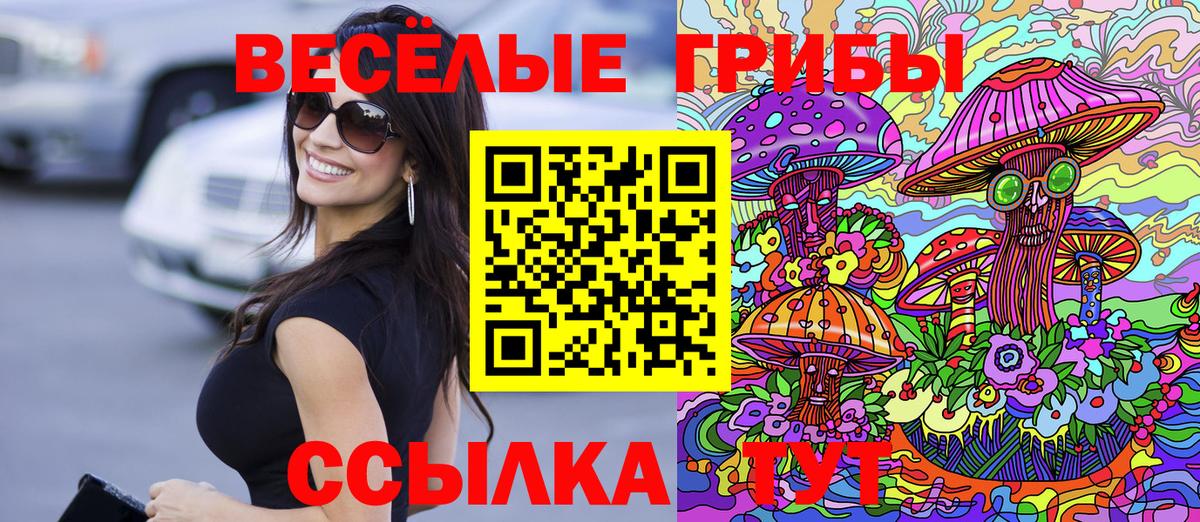 Галлюциногенные грибы MAGIC MUSHROOMS Дедовск